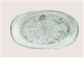 product list picture